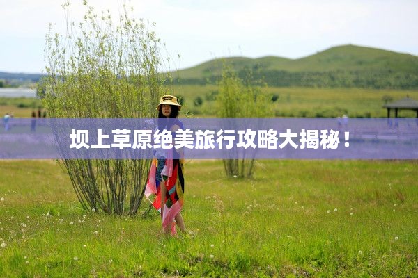 坝上草原绝美旅行攻略大揭秘！