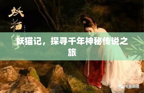 妖猫记，探寻千年神秘传说之旅