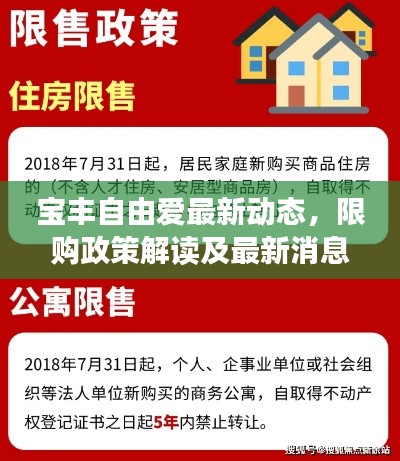 宝丰自由爱最新动态，限购政策解读及最新消息揭秘