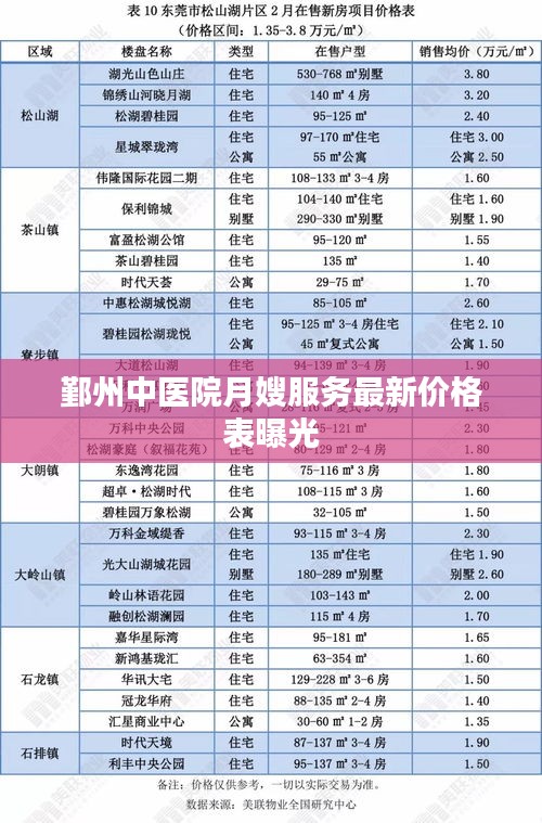 鄞州中医院月嫂服务最新价格表曝光
