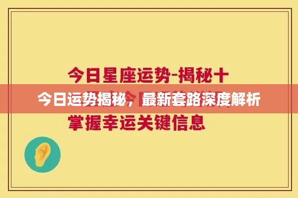 今日运势揭秘，最新套路深度解析