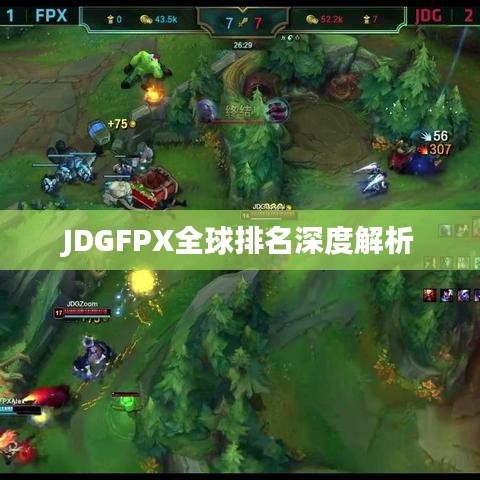 JDGFPX全球排名深度解析