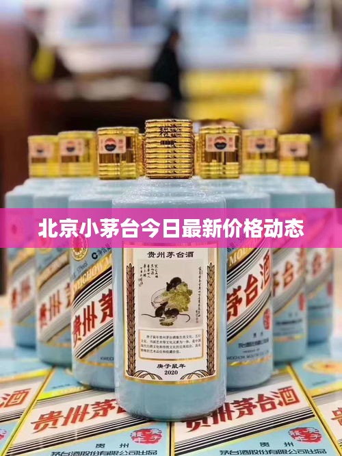 北京小茅台今日最新价格动态