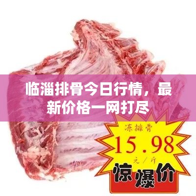 临淄排骨今日行情，最新价格一网打尽