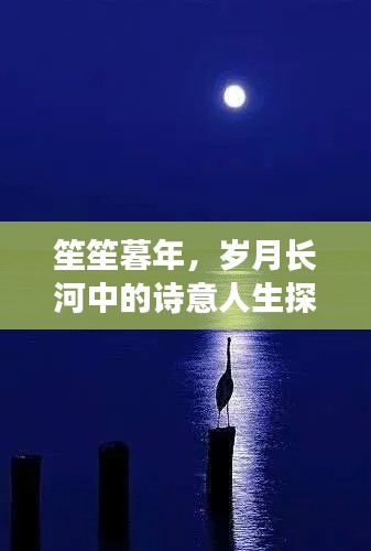 笙笙暮年，岁月长河中的诗意人生探索