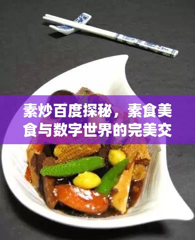 素炒百度探秘，素食美食与数字世界的完美交融