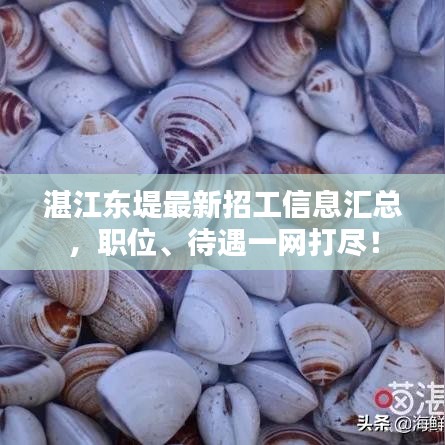 湛江东堤最新招工信息汇总，职位、待遇一网打尽！