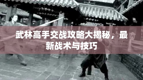 武林高手交战攻略大揭秘，最新战术与技巧