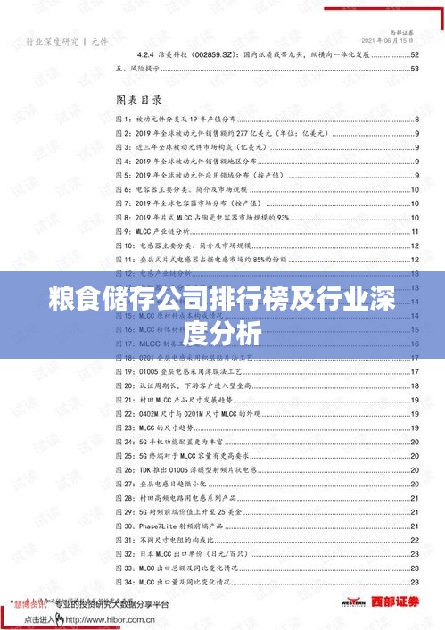 粮食储存公司排行榜及行业深度分析