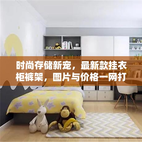 时尚存储新宠，最新款挂衣柜裤架，图片与价格一网打尽