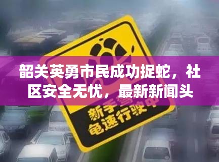 韶关英勇市民成功捉蛇，社区安全无忧，最新新闻头条！