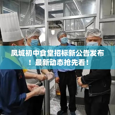 凤城初中食堂招标新公告发布！最新动态抢先看！