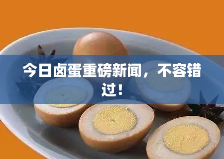 今日卤蛋重磅新闻，不容错过！