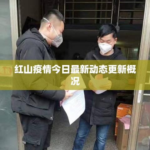 红山疫情今日最新动态更新概况