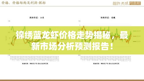 锦绣蓝龙虾价格走势揭秘，最新市场分析预测报告！