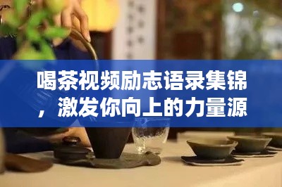 喝茶视频励志语录集锦，激发你向上的力量源泉