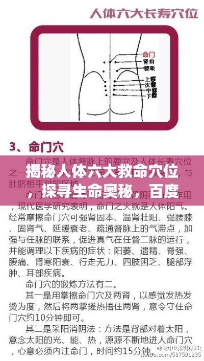 揭秘人体六大救命穴位，探寻生命奥秘，百度助你健康长寿！