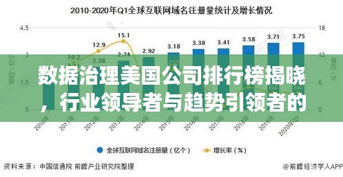 数据治理美国公司排行榜揭晓，行业领导者与趋势引领者的深度洞察