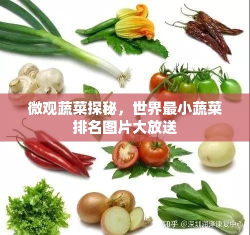微观蔬菜探秘，世界最小蔬菜排名图片大放送