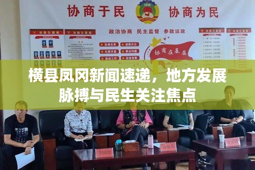 横县凤冈新闻速递，地方发展脉搏与民生关注焦点