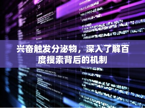 兴奋触发分泌物，深入了解百度搜索背后的机制