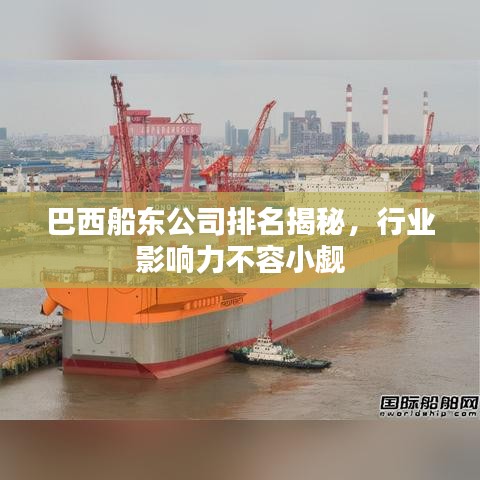 巴西船东公司排名揭秘，行业影响力不容小觑