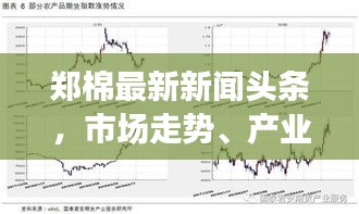 郑棉最新新闻头条，市场走势、产业动态与政策深度解析