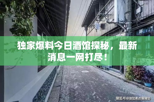 独家爆料今日酒馆探秘，最新消息一网打尽！