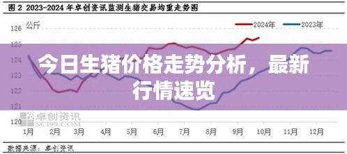 今日生猪价格走势分析，最新行情速览
