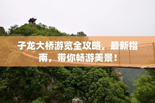 子龙大桥游览全攻略，最新指南，带你畅游美景！