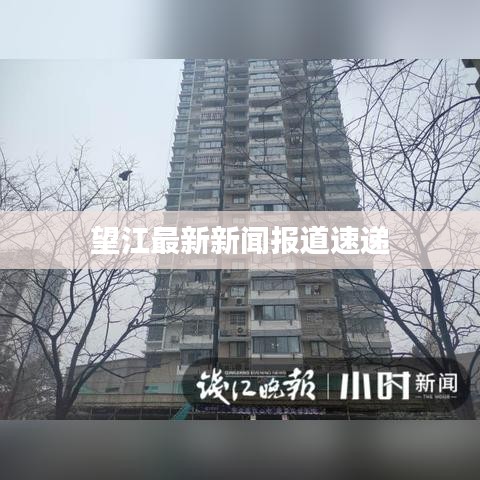 望江最新新闻报道速递