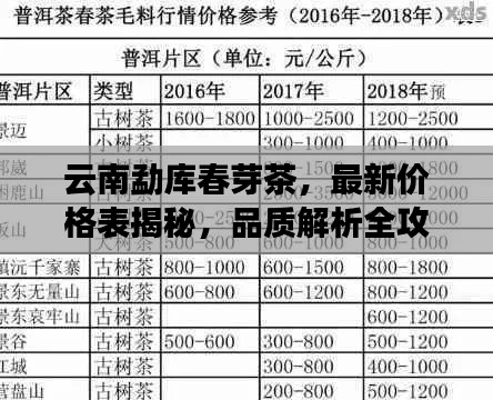 云南勐库春芽茶，最新价格表揭秘，品质解析全攻略！