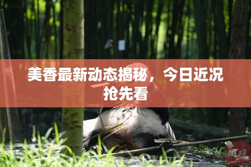 杳无音讯 第2页