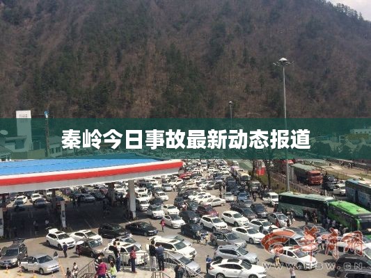 秦岭今日事故最新动态报道