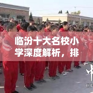 临汾十大名校小学深度解析，排名前十的小学概览