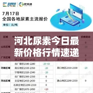 河北尿素今日最新价格行情速递