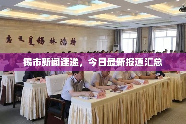 锡市新闻速递，今日最新报道汇总