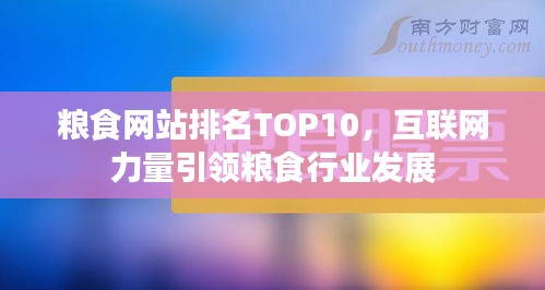粮食网站排名TOP10，互联网力量引领粮食行业发展