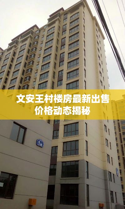 文安王村楼房最新出售价格动态揭秘