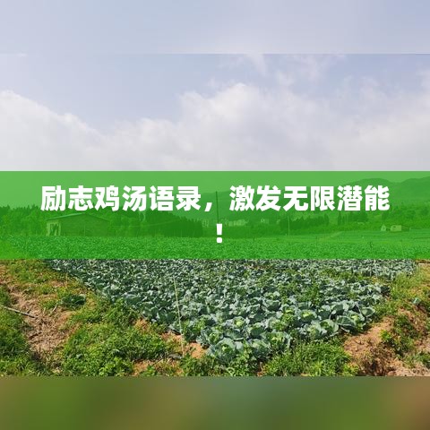 励志鸡汤语录，激发无限潜能！