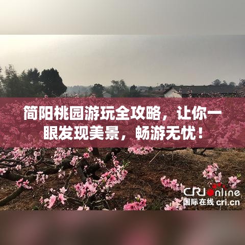 省吃细用 第2页