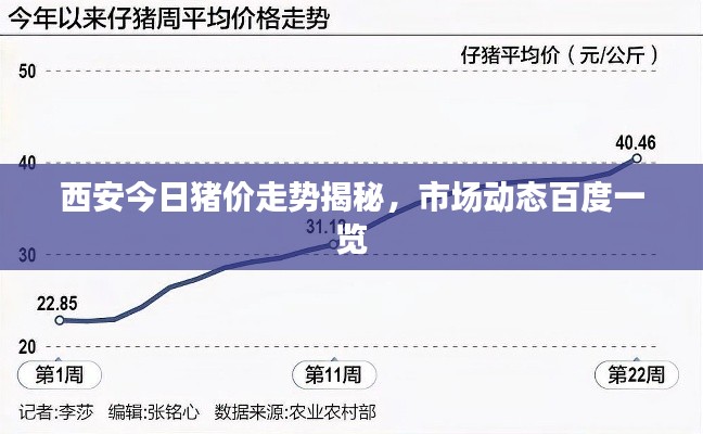 西安今日猪价走势揭秘，市场动态百度一览