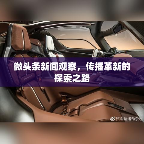 鸟穷则啄 第2页