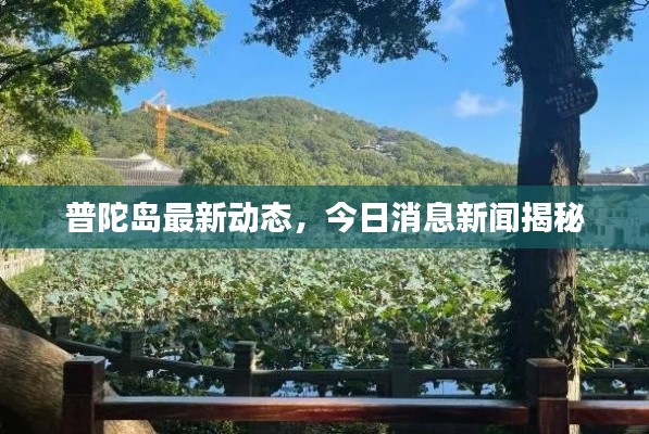 普陀岛最新动态，今日消息新闻揭秘