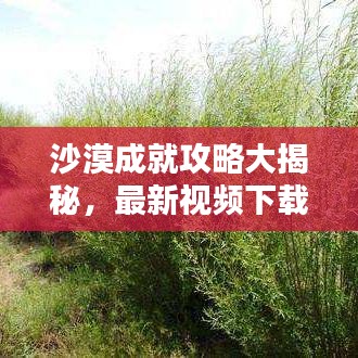 沙漠成就攻略大揭秘，最新视频下载指南来袭！