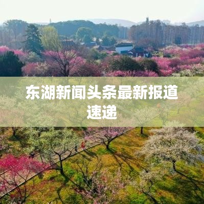 东湖新闻头条最新报道速递
