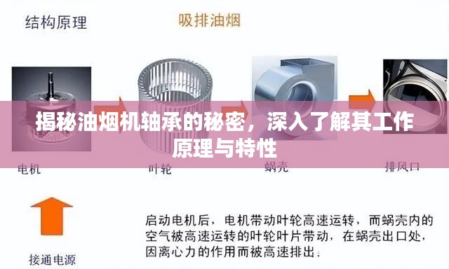 揭秘油烟机轴承的秘密，深入了解其工作原理与特性