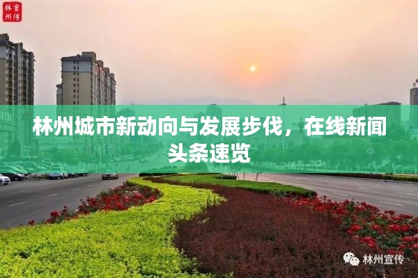 林州城市新动向与发展步伐，在线新闻头条速览