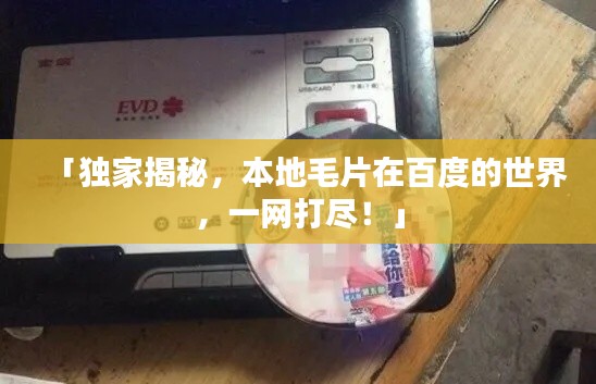 「独家揭秘，本地毛片在百度的世界，一网打尽！」