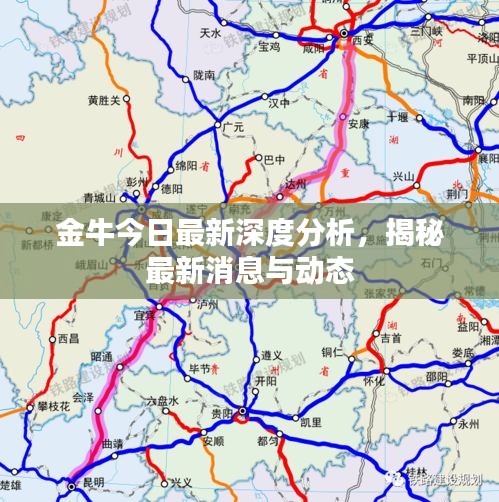 金牛今日最新深度分析，揭秘最新消息与动态